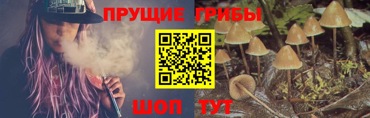 Псилоцибиновые грибы MAGIC MUSHROOMS  Вход с VPN  Ярцево  Галлюциногенные грибы мухоморы 