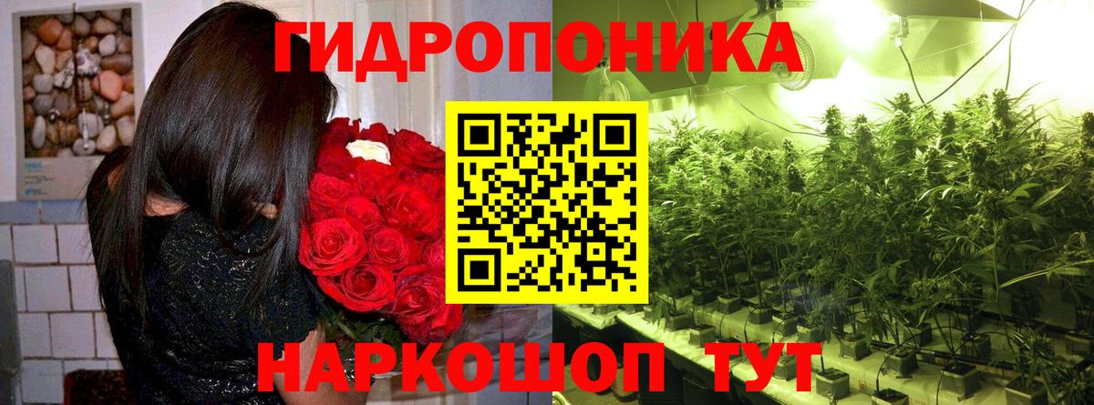 Марихуана сатива  Вход с VPN  Шишки марихуана индика  Ярцево  Канабис White Widow 