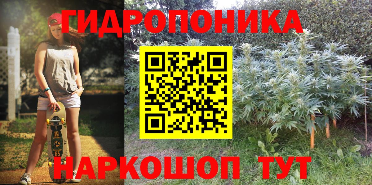 Бошки марихуана марихуана Ярцево